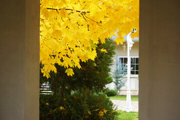 Однажды осенью