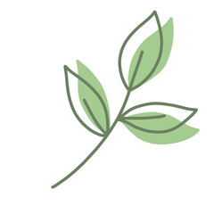 aesthetic leaf illustration for decoration