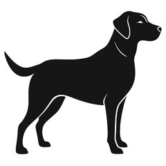 Labrador Retriever Logo Icon Vector Illustration
