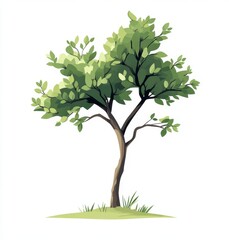 Fototapeta premium Minimalist Illustration of a Green Tree 