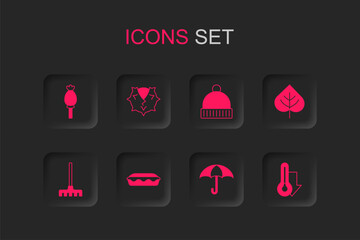 Set Homemade pie, Chestnut, Opium poppy, Umbrella, Leaf, Thermometer, Winter hat and Garden rake icon. Vector