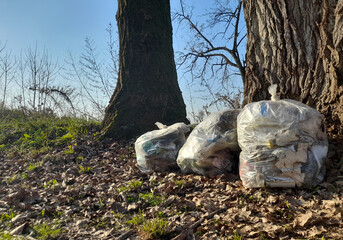Discarica abusiva nel parco naturale - maleducazione