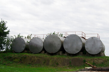 Large metal industrial tanks sit in an overgrowing area.