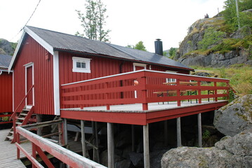 Obraz premium Leknes Norway