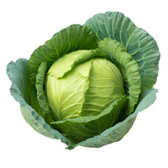 Fototapeta premium A Fresh ripe whole cabbage top view png isolated on transparent background 