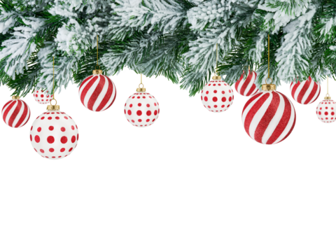 Christmas ornaments ball white and red and Christmas tree branch in snow isolated on white background with copy space and clipping path. Design element. Banner, website header, poster.