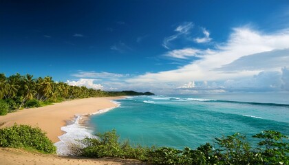 Obraz premium scenic view of beach