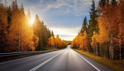 Fototapeta premium autumn road view from sotkamo finland