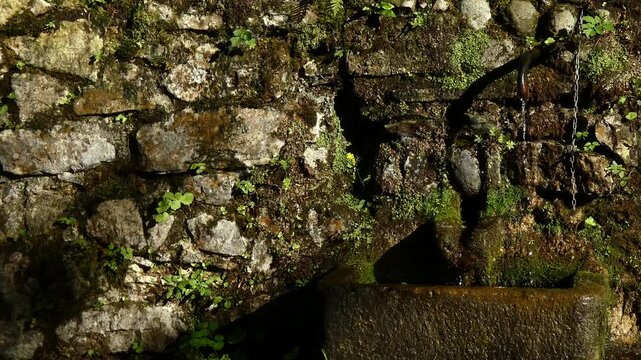 Standpipe pouring water into the woods