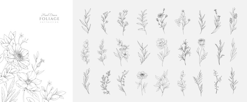 Set of hand drawn flowers and plants. Minimalist forms with elegant botanical elements for invitation, save the date card. Botanical rustic trendy greenery vector illustration