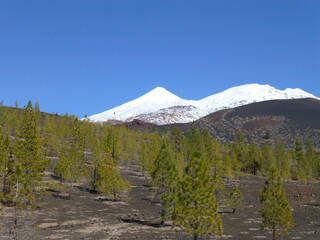 Snow-covered summit of the Teide Stratovolcano in the Canaries - Sommet du Stratovolcan du Teide...
