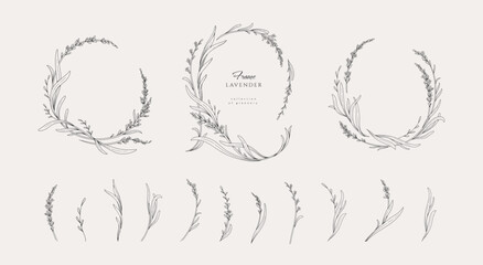 Set of lavender calligraphic design elements, floral frame and graceful branches. Wedding wildflowers for invitation save the date card. Botanical feminine rustic vector illustration.