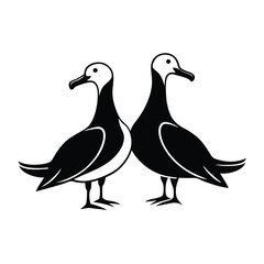 Obraz premium a black and white illustration of two albatross birds standing side by side