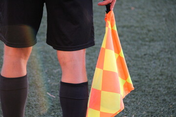 football referee with a checkered flag