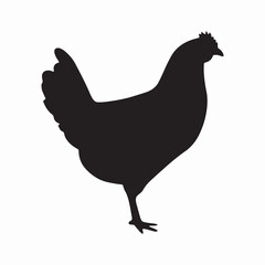 silhouette of hen chicken. Illustration vector graphics of hen icon black white background
