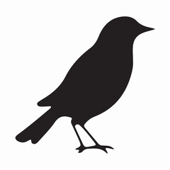 black silhouette flock of birds backlit Isolate on transparent background eps file