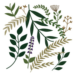 Botanical leaves and branches for elegant nature designs.