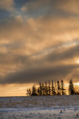 Sundown over a rural farm field and treeline.