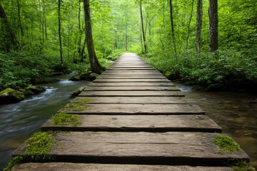 Obraz premium A serene wooden path leads through a lush green forest, bordered by a gentle stream, inviting exploration and connection with nature.