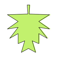 maple green leaf icon with outline