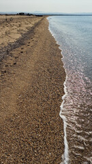 Beach in the morning