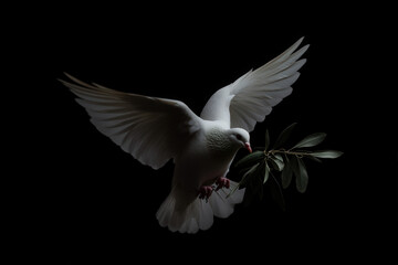 Fototapeta premium White Dove with Olive Branch Symbolizing Peace