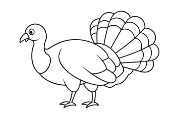 Turkey line art vector art illustration