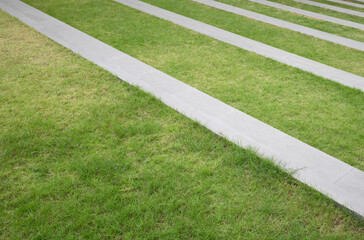 Green grass field with cement border, Stairs with green grass.