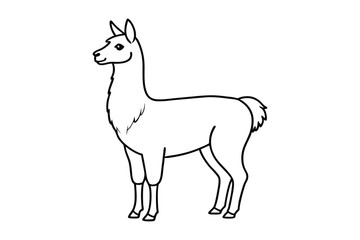 Llama line art vector art illustration