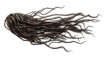 dreads hair png