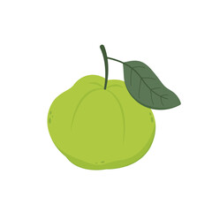 Guava. Juicy flesh and a strong sweet aroma fruit. Vector guava cartoon illustration isolated on white background.