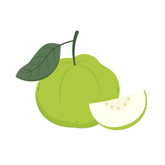 Guava. Juicy flesh and a strong sweet aroma fruit. Vector guava cartoon illustration isolated on white background.