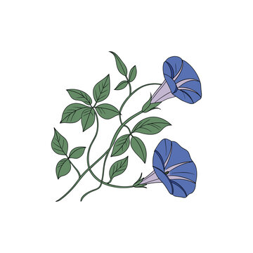 recommend clip art: Viola pansies flowers