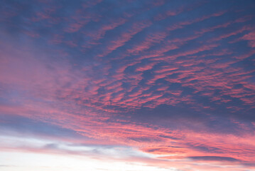 blue sky with rippled fleecy clouds at sunset