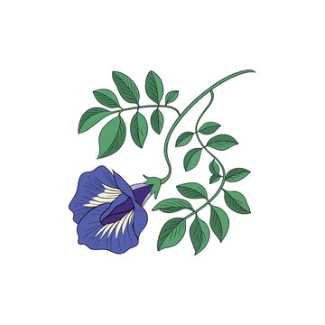 blue flower and green leaves on white clip art preview