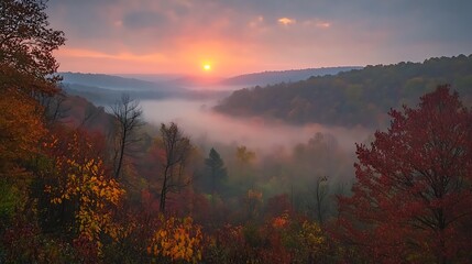 Fototapeta premium Autumn Sunrise Over Misty Valley Forest