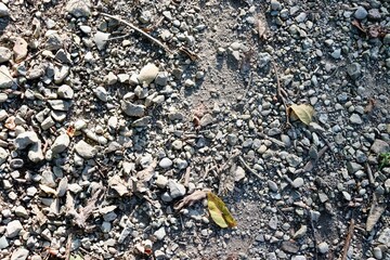 A close view of the gravel ground surface.