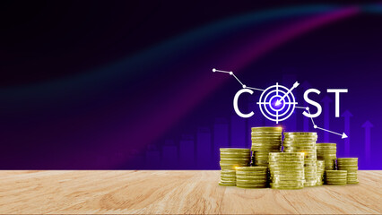 Cost reduction concept, Expenses and saving money, Business strategy and project management, with...