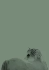 Papier peint photo  fine art green horse artwork background copy space   © PIC by Femke