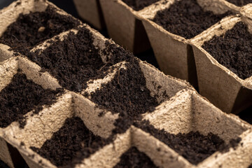 cardboard cups for seedlings with fertile soil