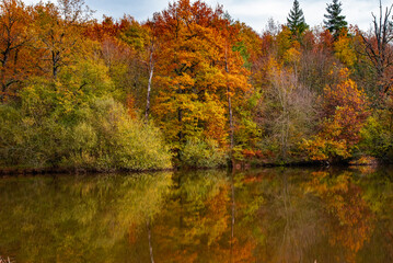 Fototapeta premium Paysages et natures morte en automne dans la foret 
