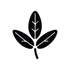 Premium Leaf Vector Icon Design Illustration – Nature Clipart & Green Graphics.