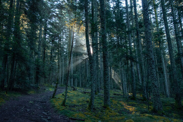 Paysages et natures morte en automne avec des rayons de soleil 