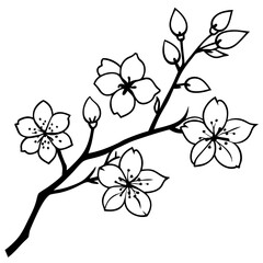 Cherry Blossom Branch in Full Bloom Vector Art
