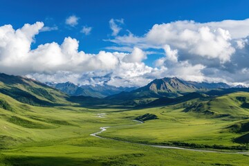 Fototapeta premium Serene River Valley Winding Through Lush Green Mountains