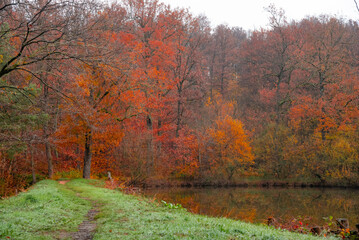 Paysages et natures mortes en automne avec vue du ciel 
