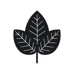Premium Leaf Vector Icon Design Illustration – Nature Clipart & Green Graphics.