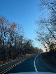 Fototapeta premium road in the forest