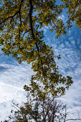 Obraz premium Paysages et Natures Mortes en automne 