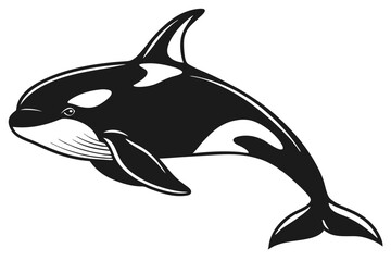 Obraz premium dolphin vector illustration